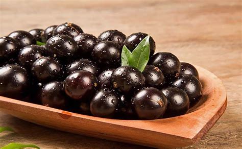 Sonhar Jabuticaba Quais Os Significados Bom Ou Ruim