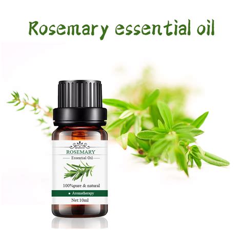 Natural Aromatherapy Massage Oil Rosemary Essential Oil China Rosemary Oil And Rosemary