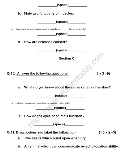 Cbse Class 5 Science Sample Paper Set J