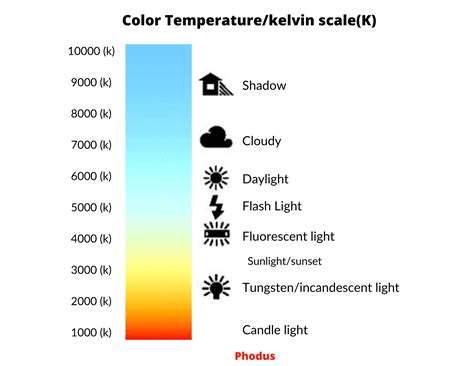 Understand White Balance In Photography Easy Way 2023