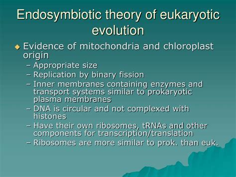 Ppt Eukaryotes Powerpoint Presentation Free Download Id6639935