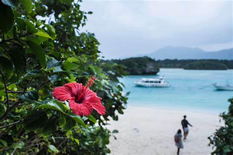 A Meditation on Visiting Okinawa in Winter