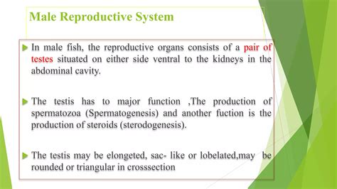 Reproductive Physiology And Morphology Ppt