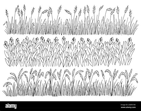 Field set graphic black white landscape sketch illustration vector ...