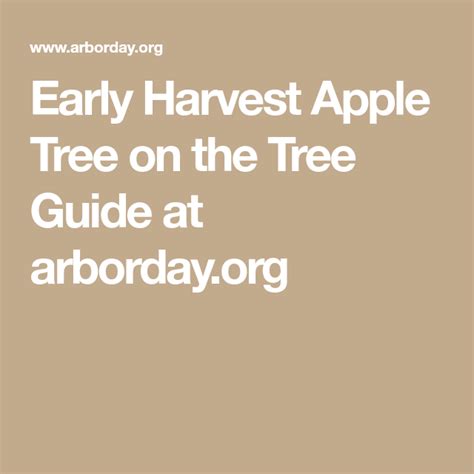 Early Harvest Apple Tree On The Tree Guide At Arbor Day