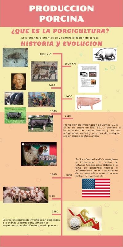 Historia Y Evolucion Porcicultura