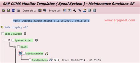 Spool Administration In Sap Basis