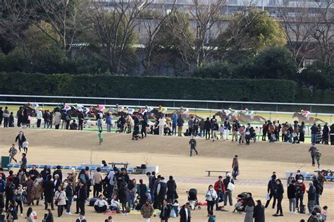 写真で振り返る 第41回フェブラリーステークス感想と写真集 競馬つらつら