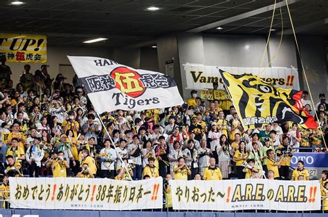 「もりしたー、ホンマは岡田監督、嫌いなん違うかー」甲子園で見た阪神ファンの“tvに映らない”ディープな習性「セデーニョ！っちゅう顔や」 プロ野球 Number Web ナンバー