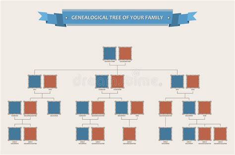 Albero Genealogico Illustrazione Vettoriale Illustrazione Di Famiglia