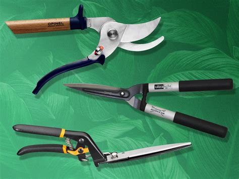 Best Garden Shears And Secateurs For Trimming Grass Hedges And Pruning Shrubs In 2023 The