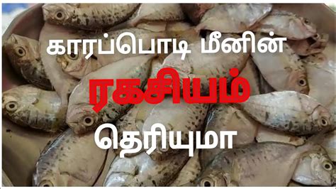 health benefits  karapodi meen