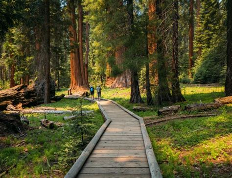 10 Best Day Hikes In Sequoia National Park