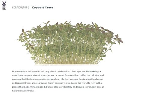 Dutch Industry — Koppert Cress