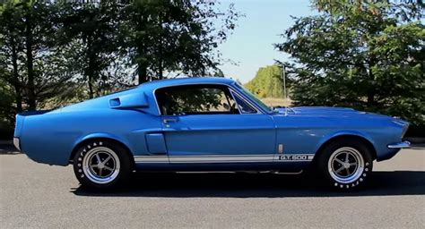 1967 Shelby Gt 500 427 Video Muscle Car Of The Week American Collectors Insurance