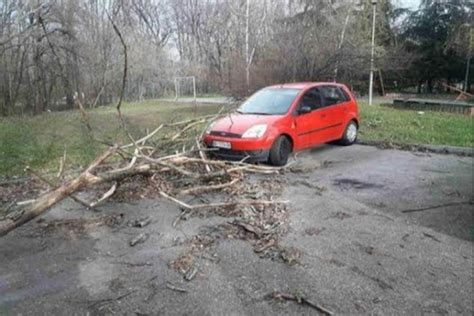 Košava napravila haos Drveće palo na parkirane automobile na Novom