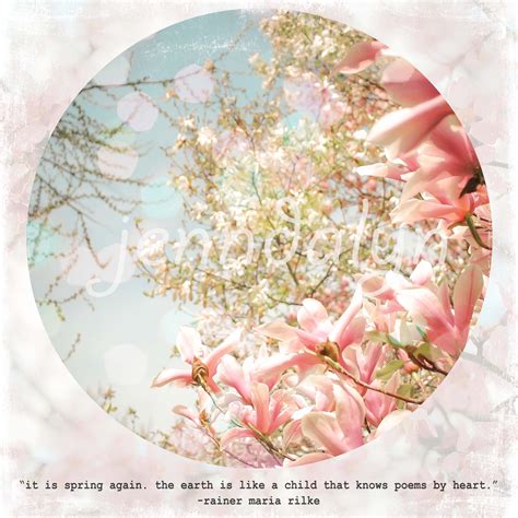 Magnolia Flower Quotes. QuotesGram