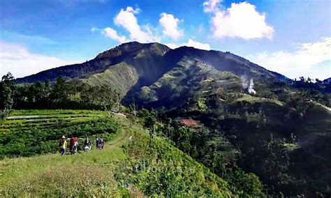 Pendakian Gunung Bismo Via Silandak Gunung Tersembunyi Di Wonosobo