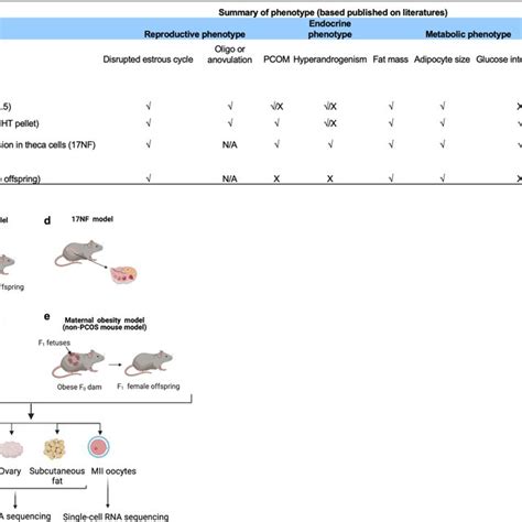 Of Metabolic And Reproductive Phenotype And Illustration Of Three