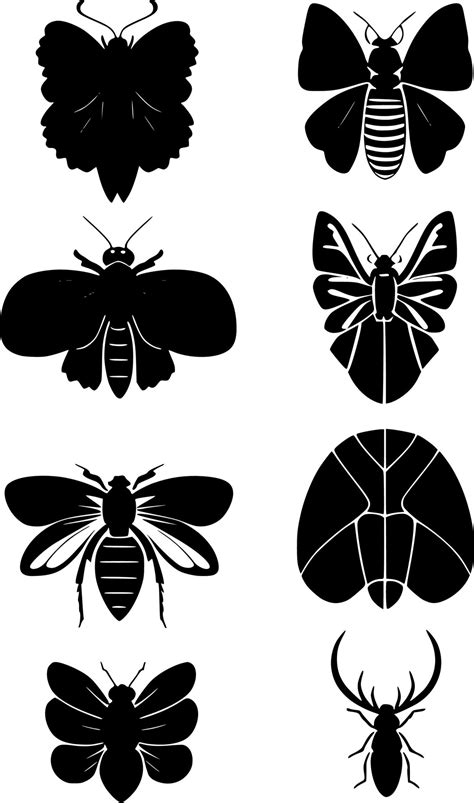 Set Of Insect Shape 20144751 Vector Art At Vecteezy