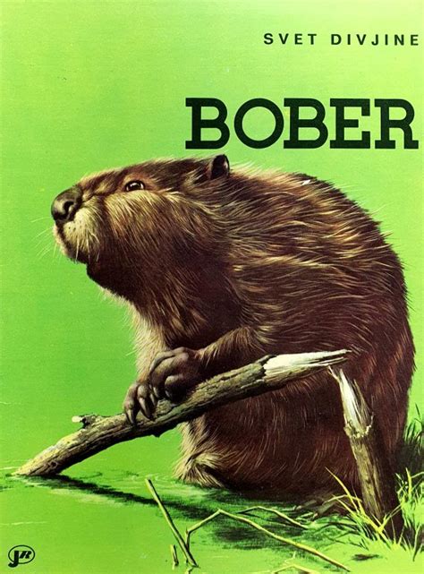 Bober Antikvariatantiquasi