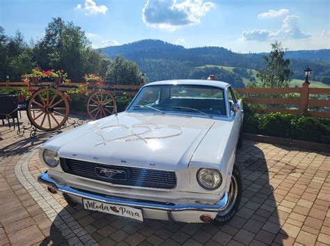 Klasyczny zabytkowy Ford Mustang 1966 V8 na wesele ślub uroczystości