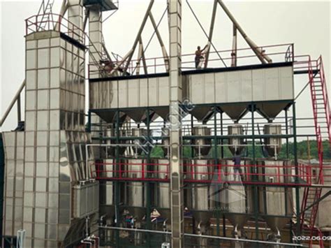 Paddy Parboiling Plant Rice Mill Boiler Plant Manufacturer