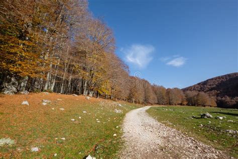 Forca D Acero Abruzzo National Park Italy Stock Photo Image Of