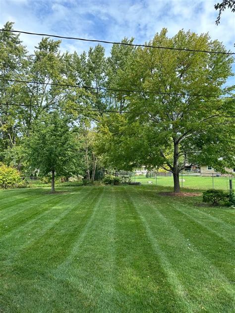 First Cut Lawn