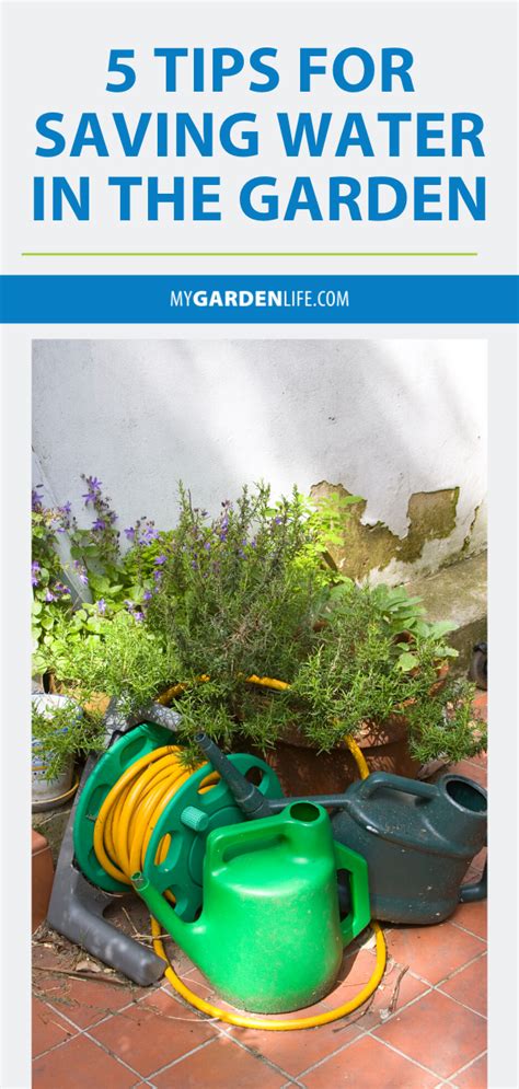 5 Tips For Saving Water In The Garden Water Saving Tips Save Water