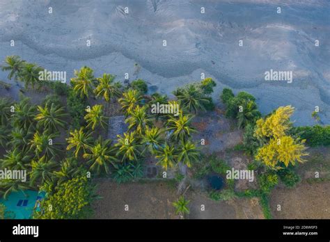 Aerial View Of The Saint Martin S Island Locally Known As Narikel