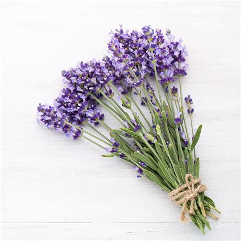 Lavender bouquet - Playlist Orchard