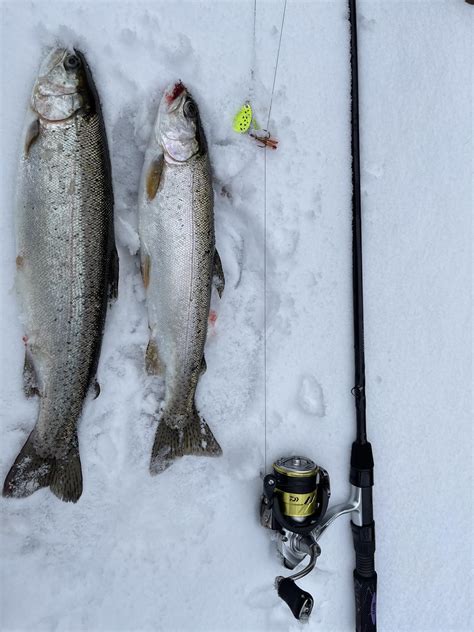 Fresh as snow. : r/Fishing