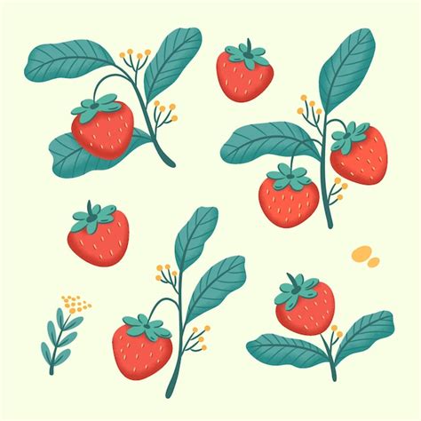 Premium Vector Hand Drawn Isolated Strawberry Illustration