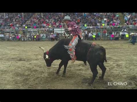 Jaripeo USA Recopilación de las mejores montas en Estados Unidos PT 1