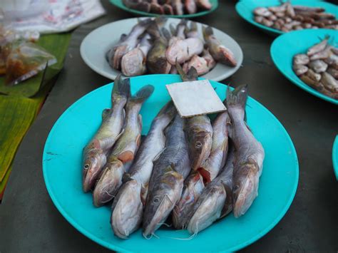 Naked Catfishes For Sale In The Local Market 6929766 Stock Photo At Vecteezy