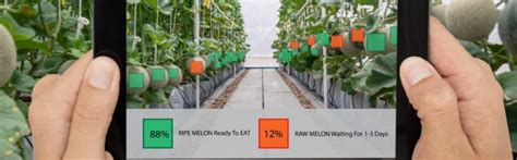 Powering Smart Agriculture With Internet Of Things Tm One