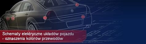 Autodata Program Online Dane Diagnostyczne Instrukcje Schematy