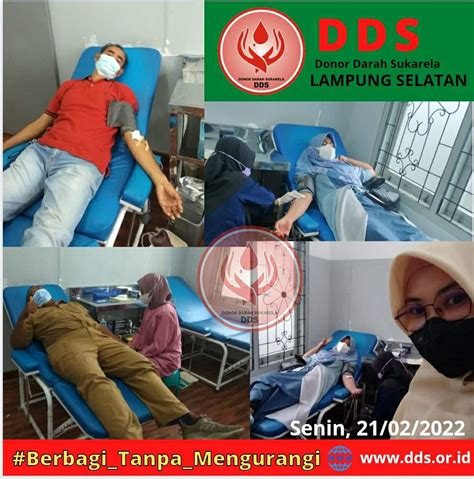 Dds Lampung Selatan Memfasilitasi Kantong Darah Untuk Pasien Anemia