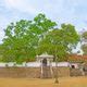 Jaya Sri Maha Bodhi Anuradhapura Sri Lanka Atlas Obscura