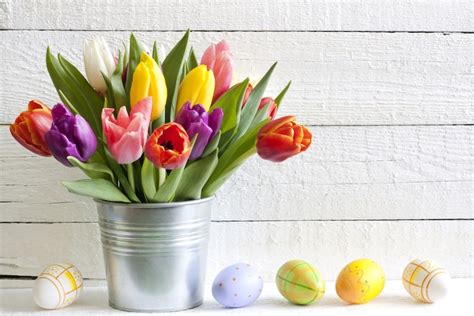 Bloemen Voor Pasen En Hun Betekenis