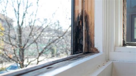 Chicago Rotten Window Frame Repair Service