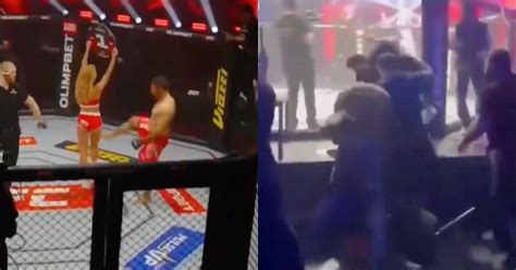 Chica Del Ring Fue Pateada Por Ali Heibati Luchador Iraní De Mma El