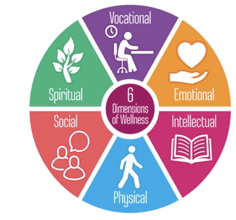 The Dimensions Of Wellness Manna Project International