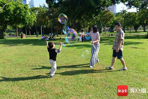 海口：打造青年发展亮点 推动青年与城市“双向奔赴” 新闻中心 南海网