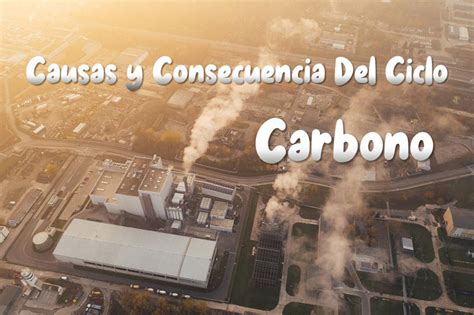 Causas Y Consecuencias Que Afectan Al Ciclo Del Carbono Ciclos