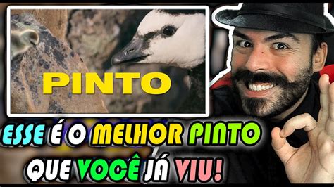 REACT UMA LENDA CHAMADA PINTO SuperSaladin YouTube