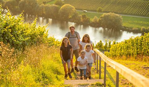 Das Moseltal Entdecken Familienurlaub An Der Mosel Lumao