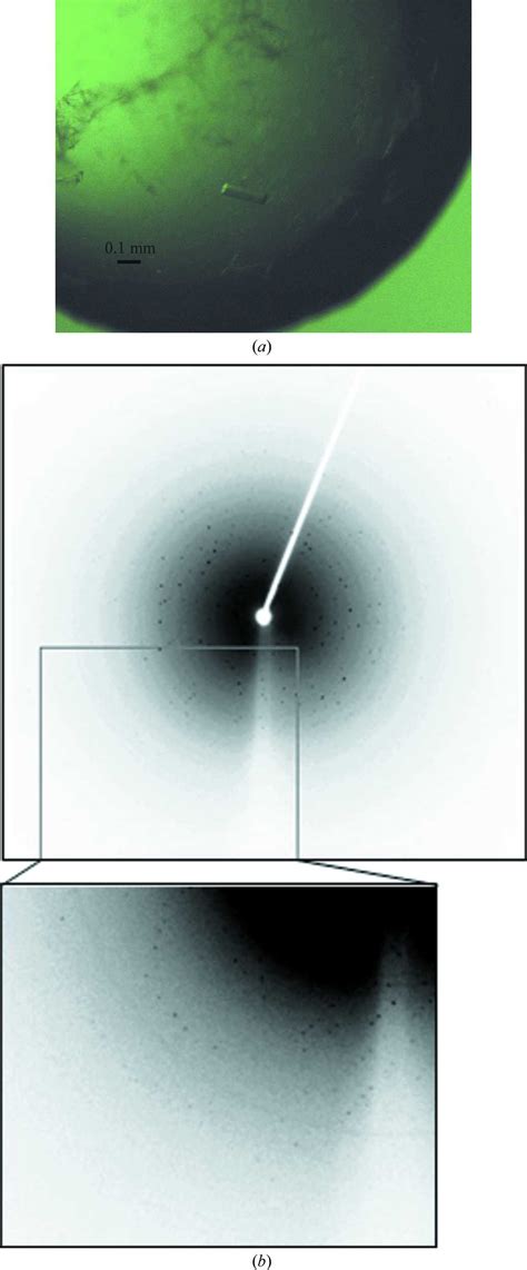 Iucr Crystallization And Preliminary X Ray Crystallographic Analysis