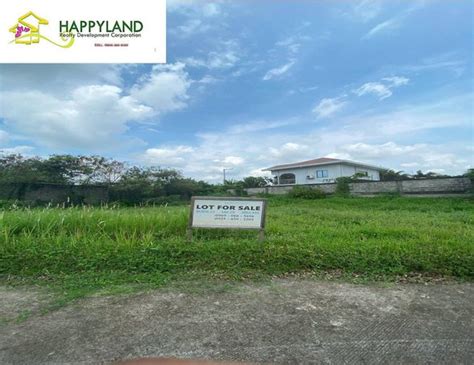 Fidgie Subdivision Blk 11 Lot 10 Brgy San Agustin Pob Trece Martires